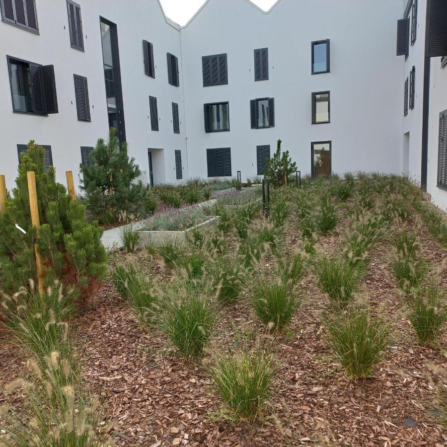 Apartament Orlando W Porto Leba 350M Od Morza Εξωτερικό φωτογραφία
